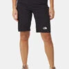 The North Face W Speedlight Slim Straight Short -Gore Hardloopbroeken Winkle 2210003913810 010 nl
